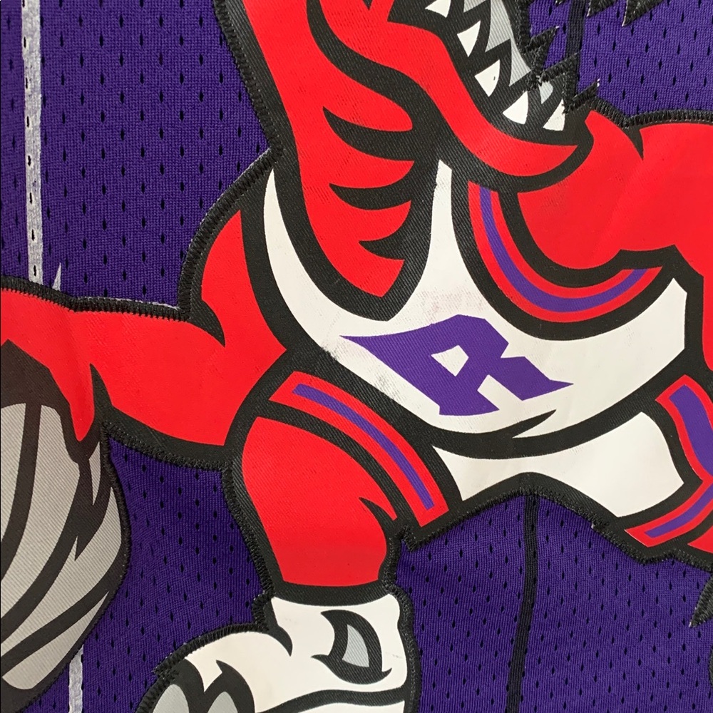 Nike Raptors Carter Jersey - Picture 8 of 9